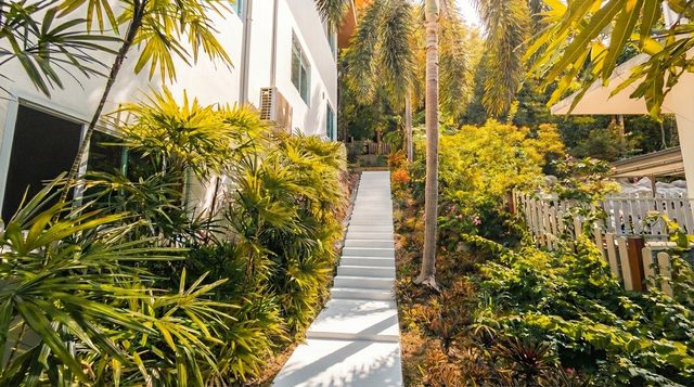 Lush tropical garden path leading through the grounds